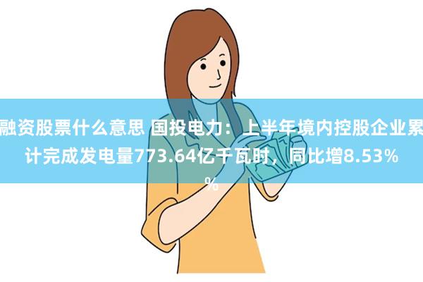 融资股票什么意思 国投电力：上半年境内控股企业累计完成发电量773.64亿千瓦时，同比增8.53%