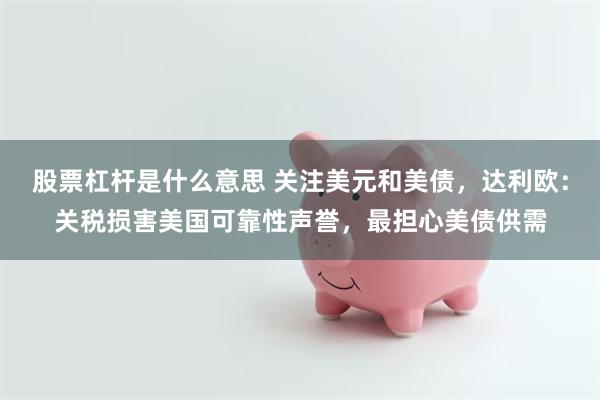 股票杠杆是什么意思 关注美元和美债，达利欧：关税损害美国可靠性声誉，最担心美债供需