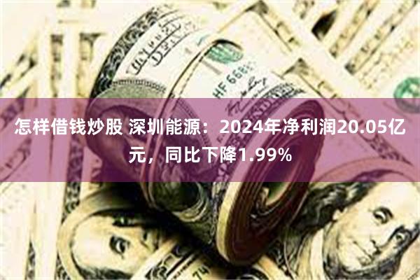 怎样借钱炒股 深圳能源：2024年净利润20.05亿元，同比下降1.99%