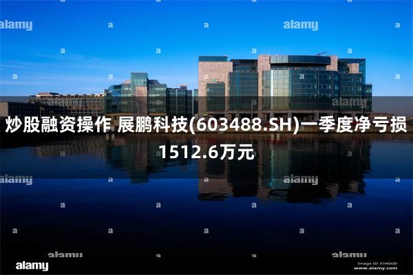 炒股融资操作 展鹏科技(603488.SH)一季度净亏损1512.6万元
