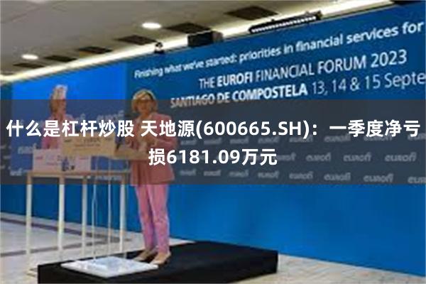 什么是杠杆炒股 天地源(600665.SH)：一季度净亏损6181.09万元