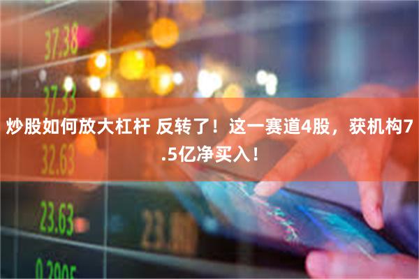 炒股如何放大杠杆 反转了！这一赛道4股，获机构7.5亿净买入！