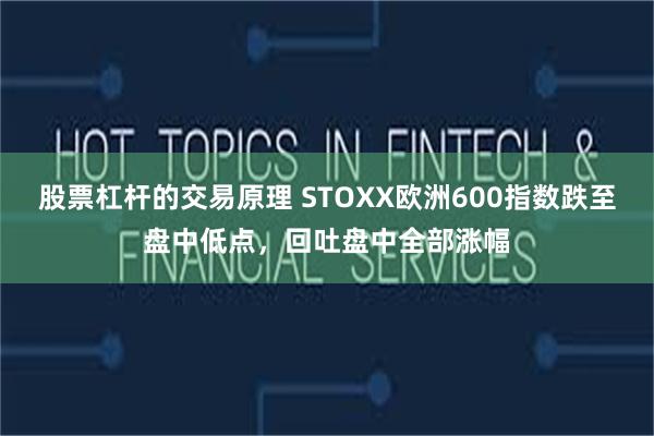 股票杠杆的交易原理 STOXX欧洲600指数跌至盘中低点，回吐盘中全部涨幅